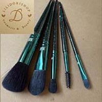 مجموعه براش های آرایش ا وریفلیم